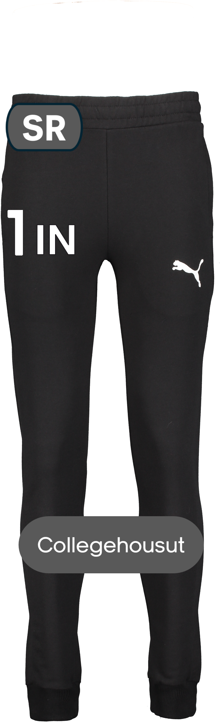 
PUMA, 
Teamgoal Casuals Pants, 
Detail 1
