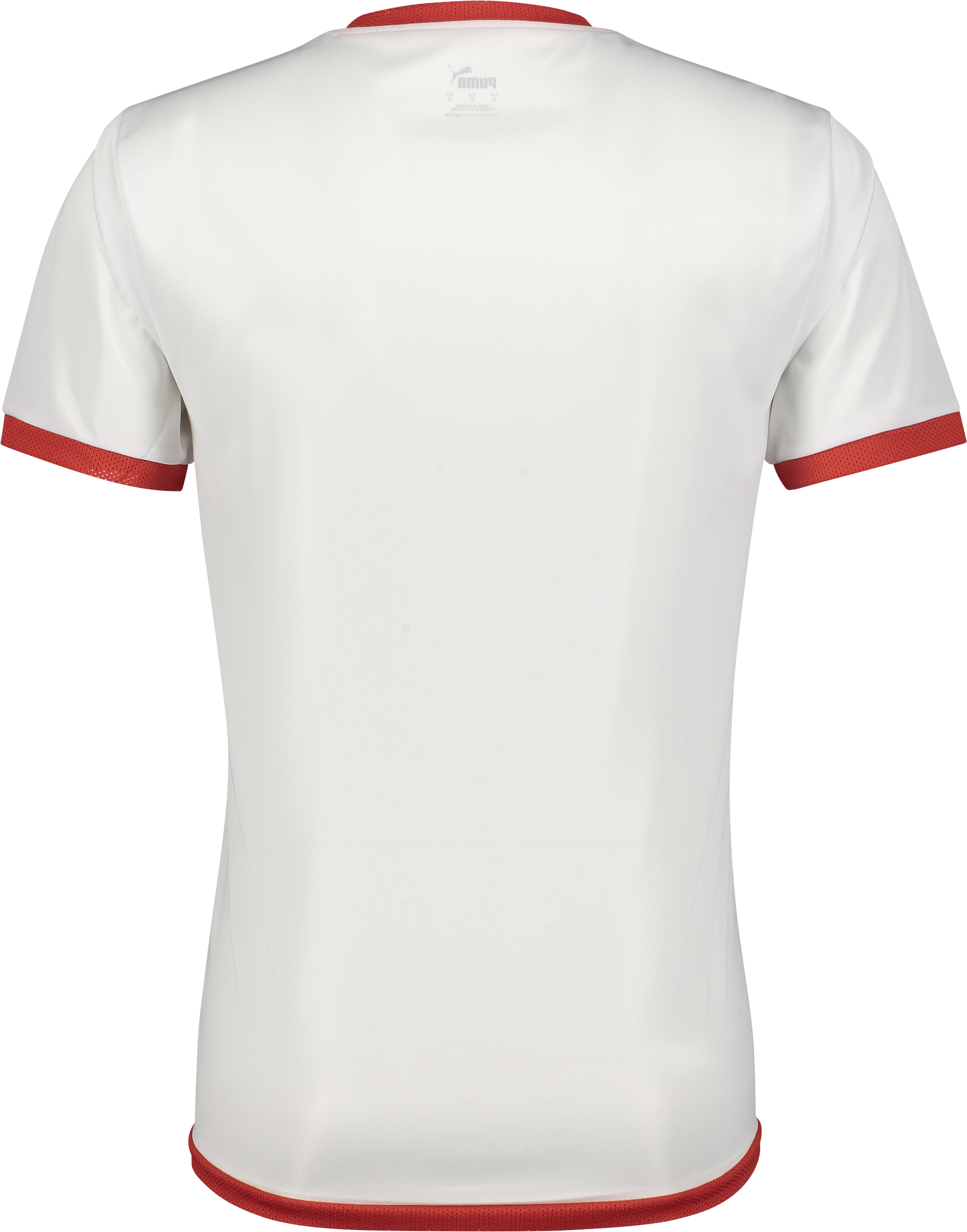 PUMA, T Liga Ss Jsy Jr