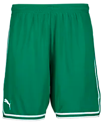 387202106101 PUMA Hoops Team Game Short 387202106101 PUMA Hoops Team Game Short Standard Small1x1