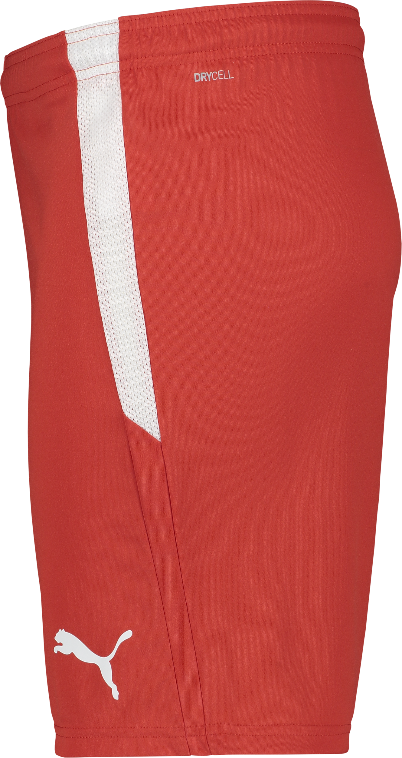 PUMA, T Liga Shorts Jr