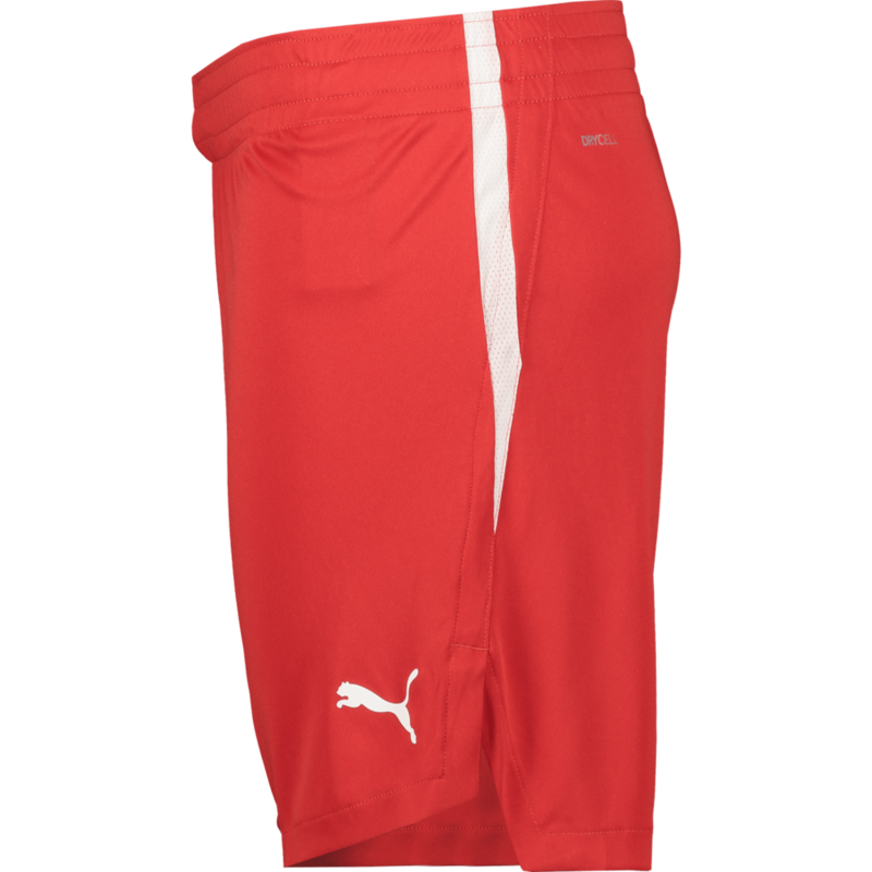 PUMA, TEAMJAWS STARTER SHORTS JR