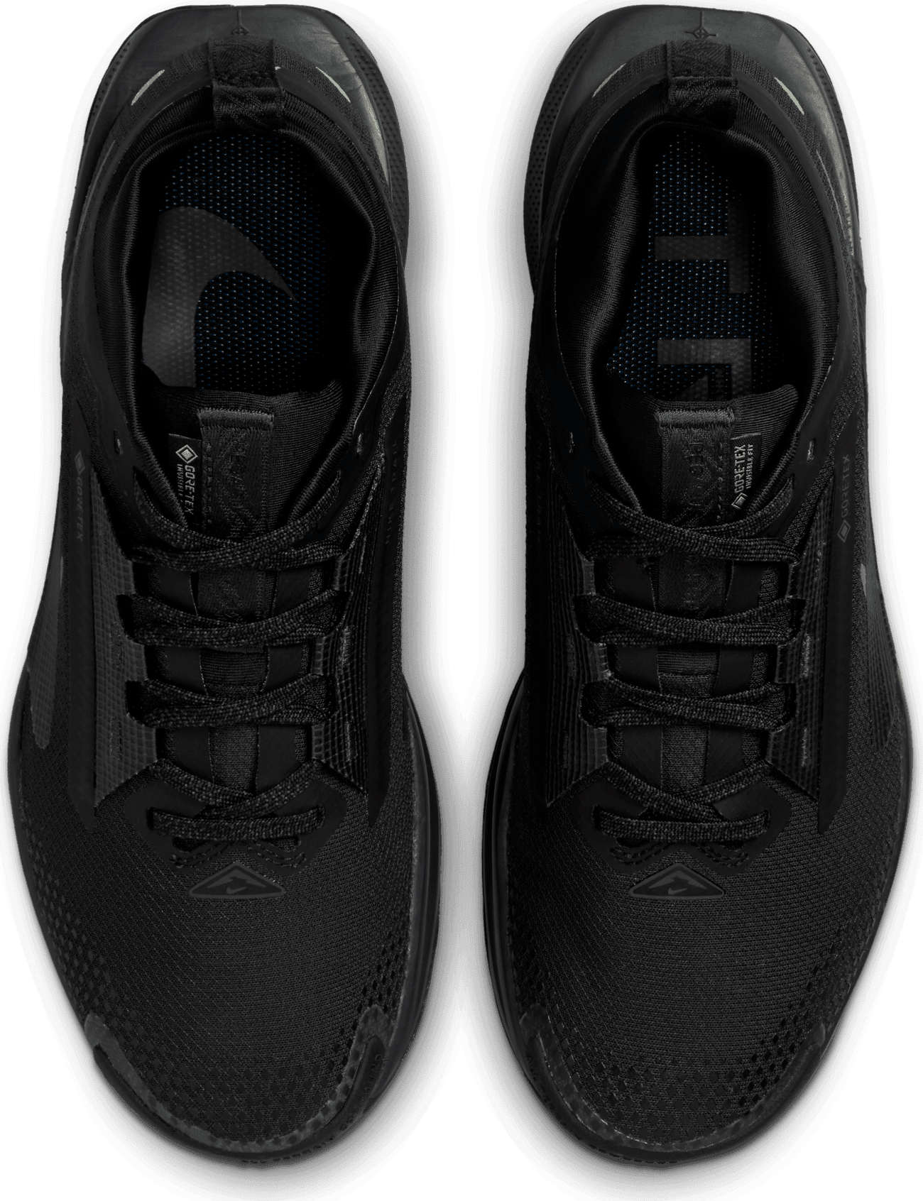 NIKE, W Pegasus Trail 5 Gore-Tex