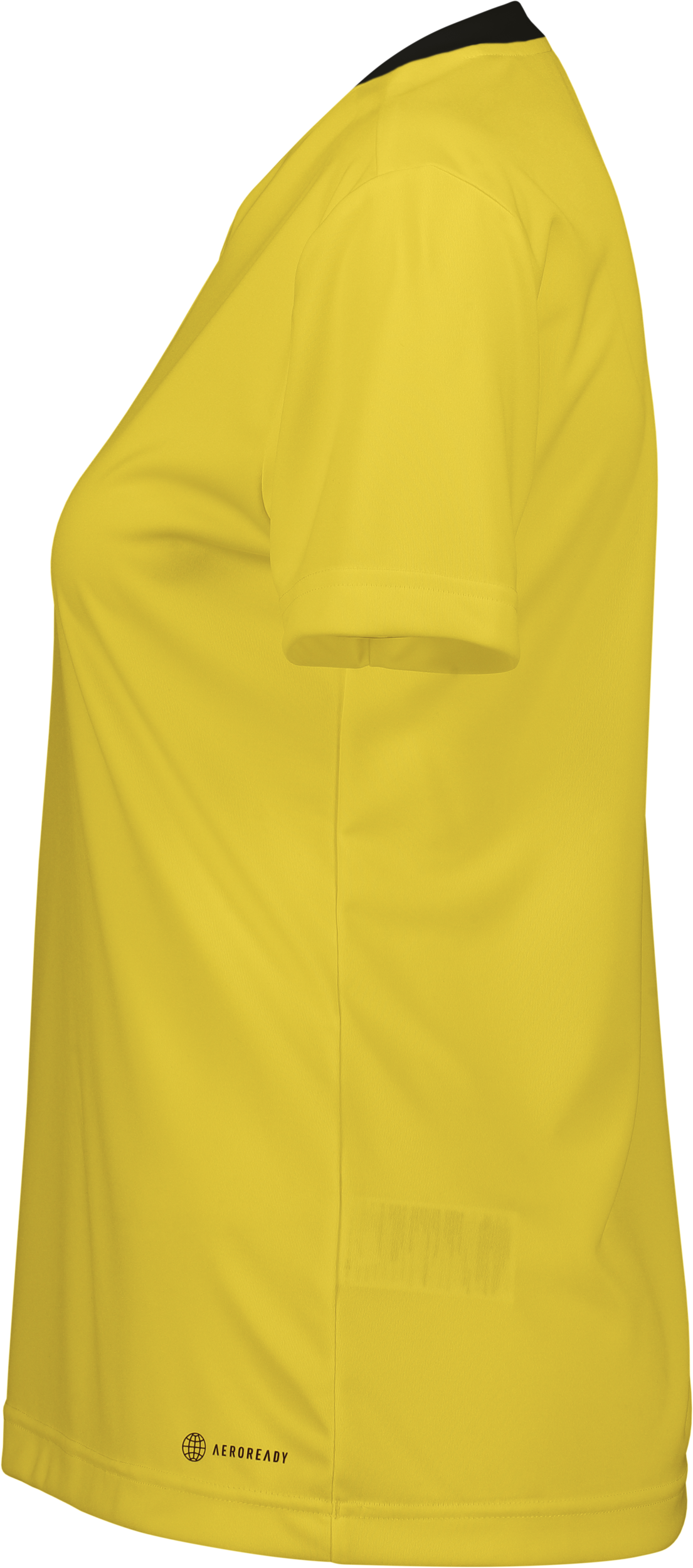 ADIDAS, Ent22 Jsy Tee W