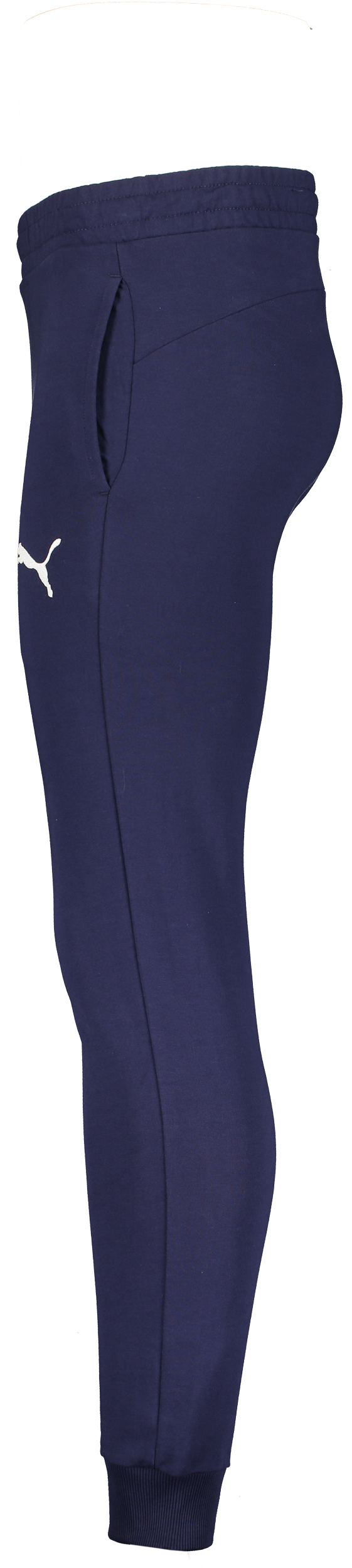 PUMA, Teamgoal Casuals Pants