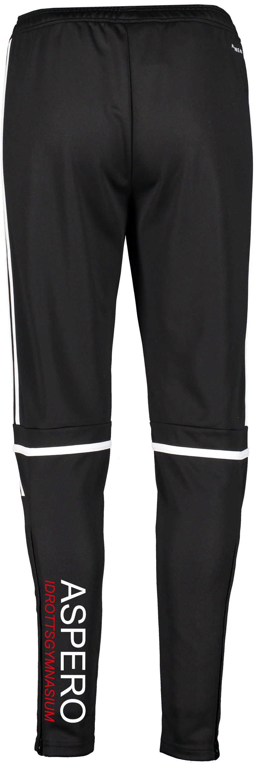 ADIDAS, Squad25 Tr Pnt W