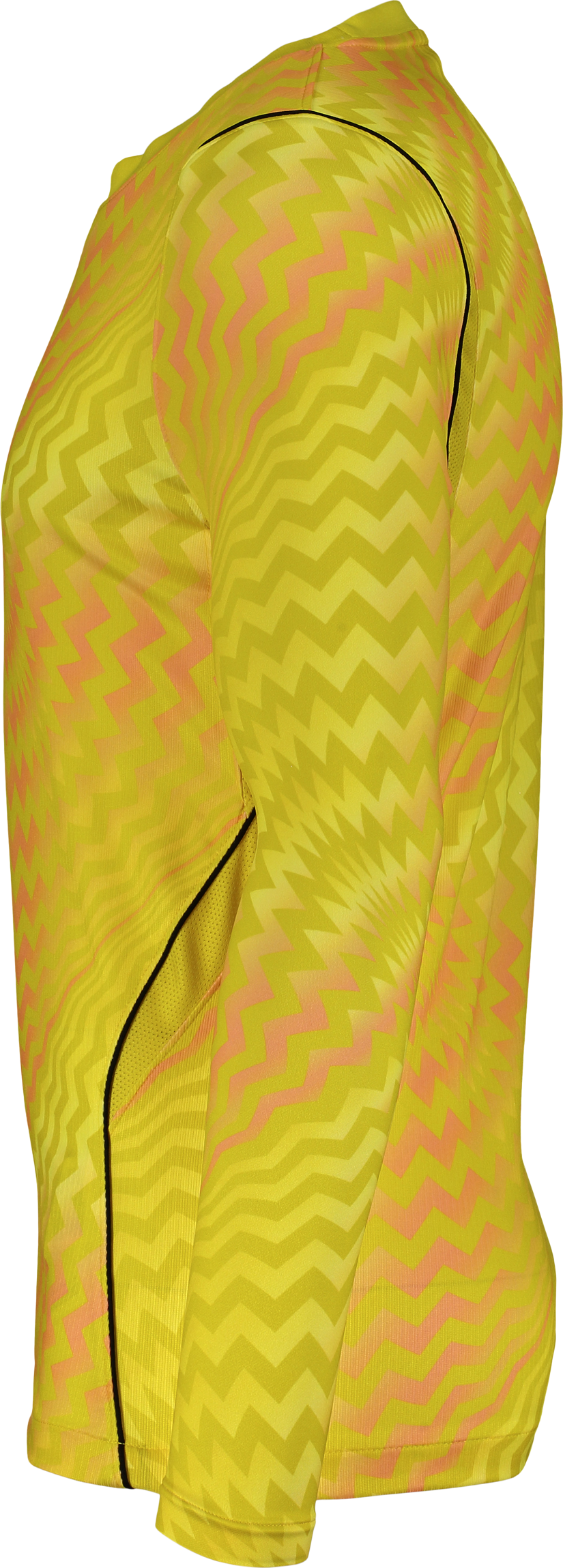 NIKE, GARDIEN VI GK LS JSY