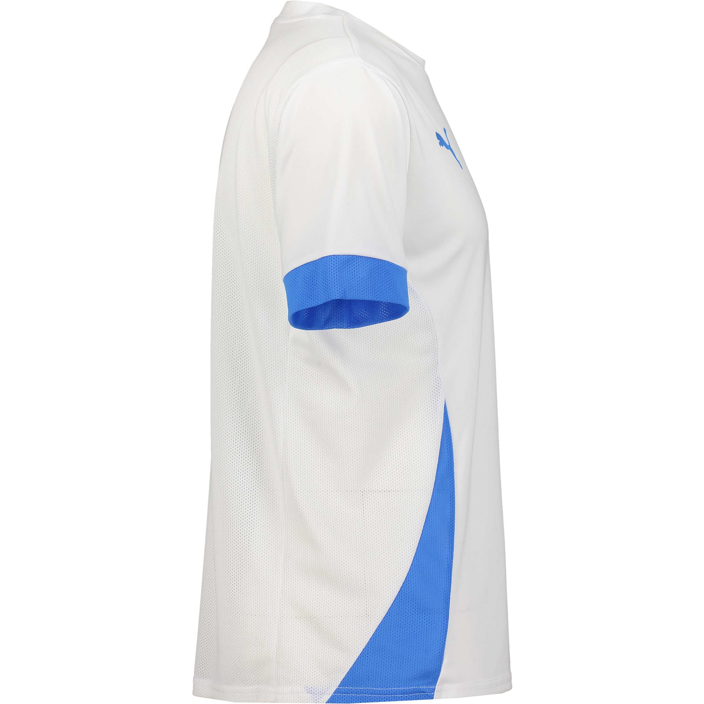 PUMA, T Goal Matchday Jsy Jr