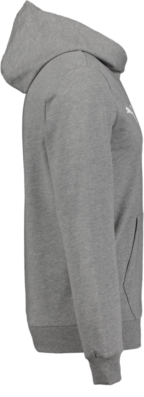 PUMA, T Goal Casual Hood Jr