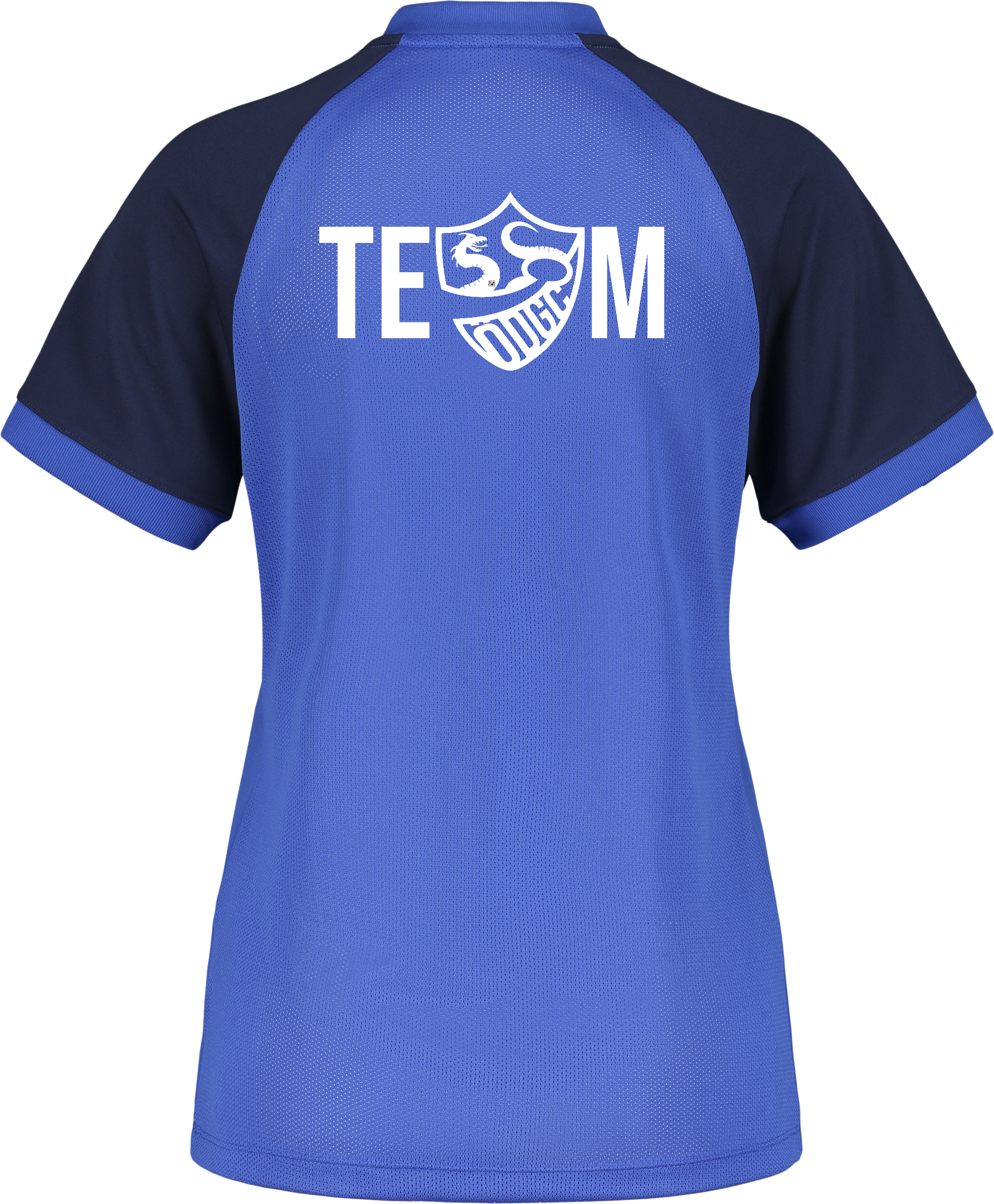 NIKE, TROPHY VI JSY W