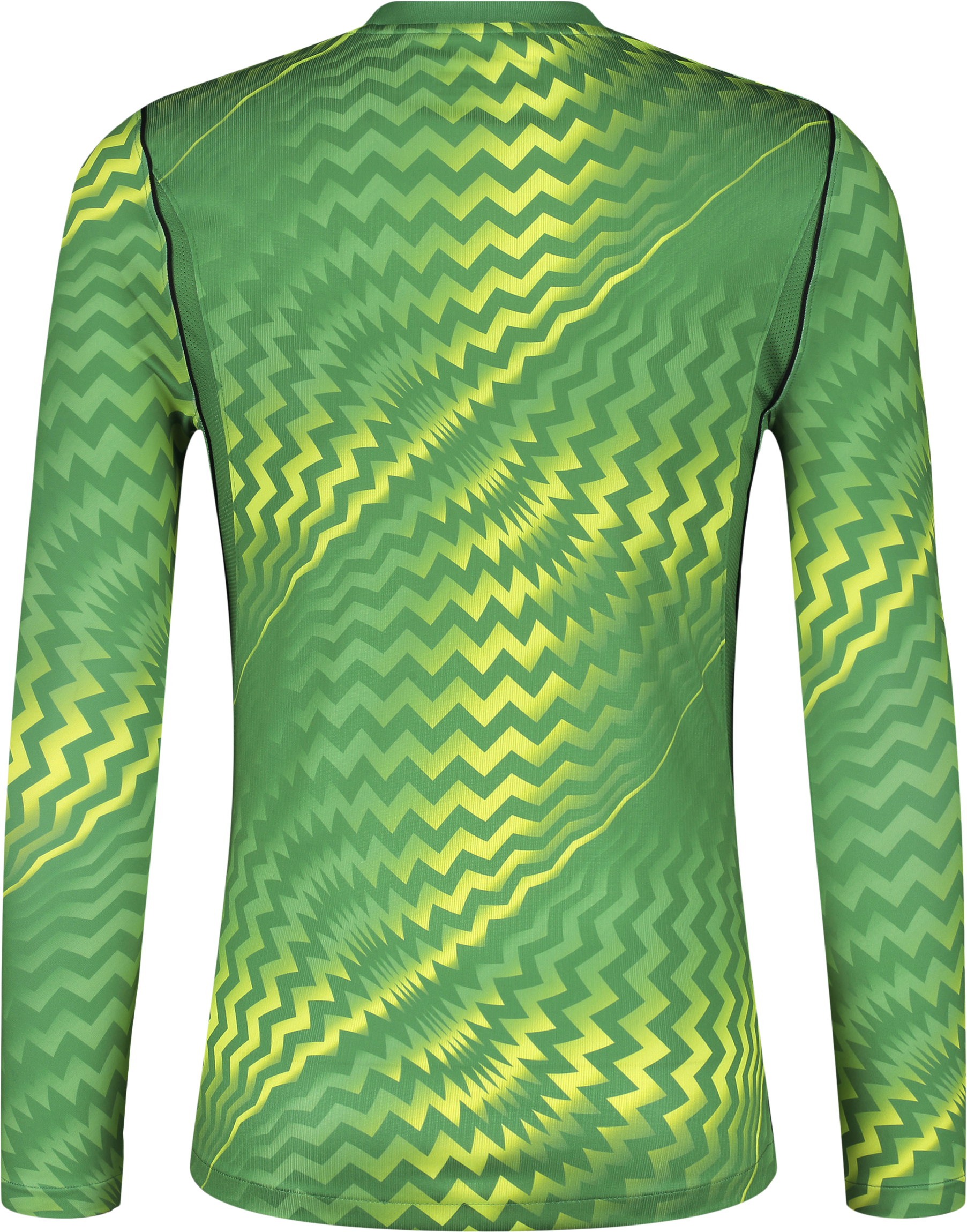 NIKE, GARDIEN VI GK LS JSY