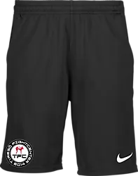 323389101101 NIKE Park20 Short 323389101101 NIKE Park20 Short Standard Small1x1