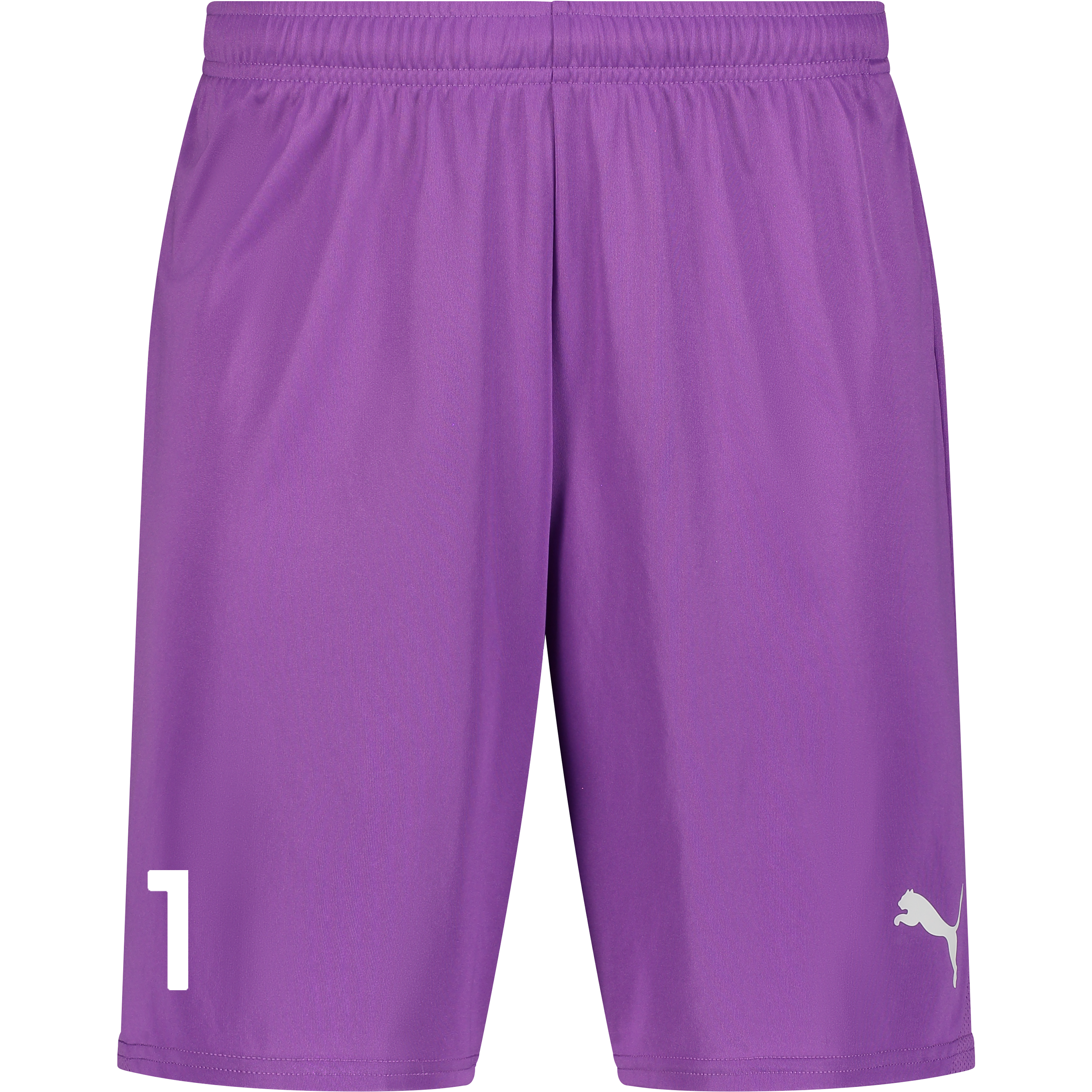 
PUMA, 
T Goal Shorts, 
Detail 1
