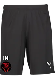 392286103101 PUMA T Goal Shorts Jr 392286103101 PUMA T Goal Shorts Jr Standard Small1x1