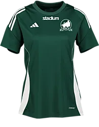 390924103101 ADIDAS Tiro24 Jsy W 390924103101 ADIDAS Tiro24 Jsy W Standard Small1x1