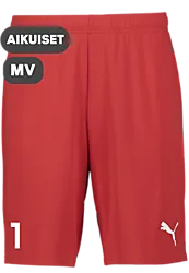 391942101101 PUMA T Goal Shorts 391942101101 PUMA T Goal Shorts Standard Small1x1