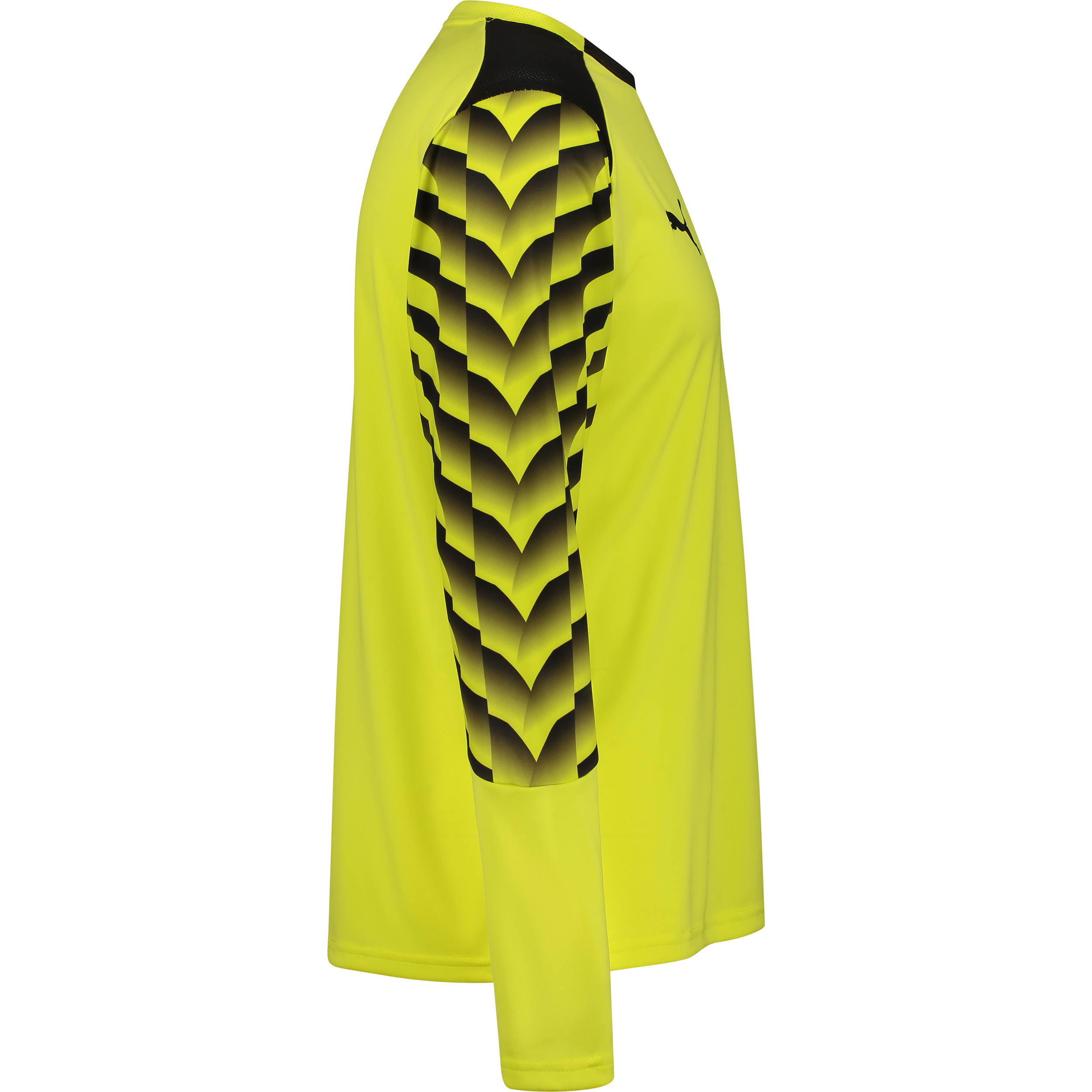 PUMA, TEAMLIGA26 GK JERSEY LS