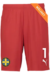 391942101101 PUMA T Goal Shorts 391942101101 PUMA T Goal Shorts Standard Small1x1