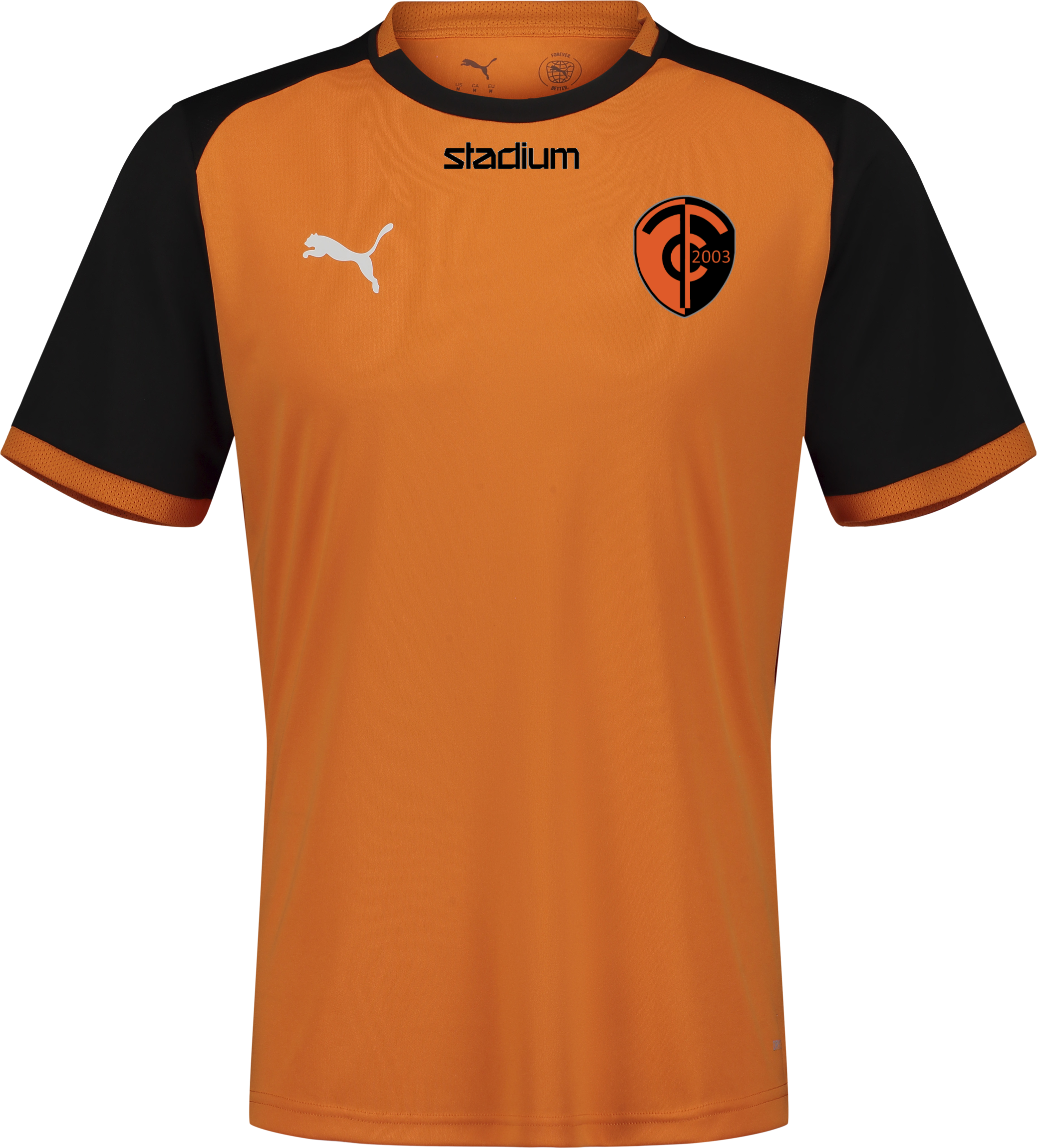 
PUMA, 
TEAMLIGA26 MATCHDAY JERSEY, 
Detail 1
