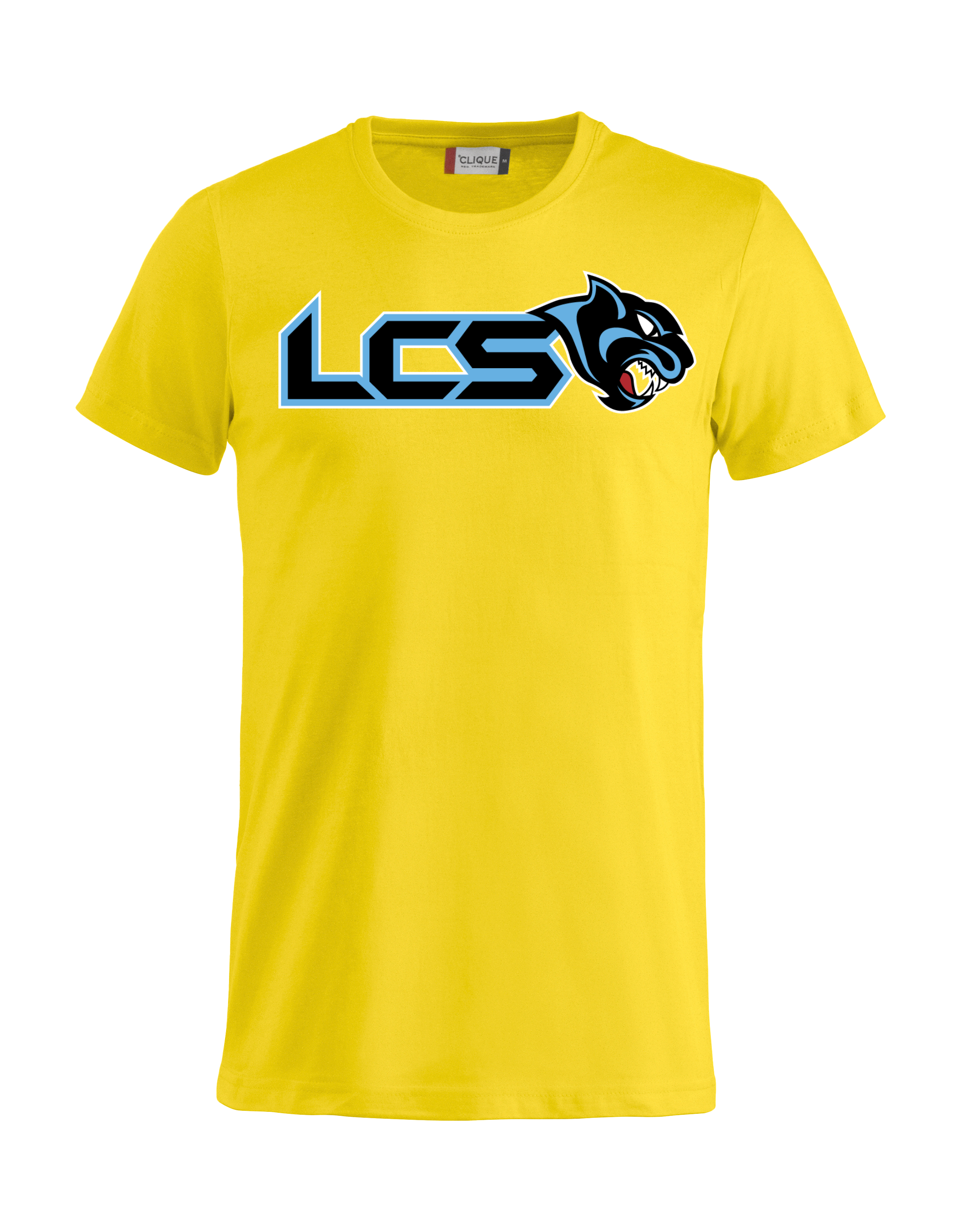 
CLIQUE, 
Basic-T, 
Detail 1
