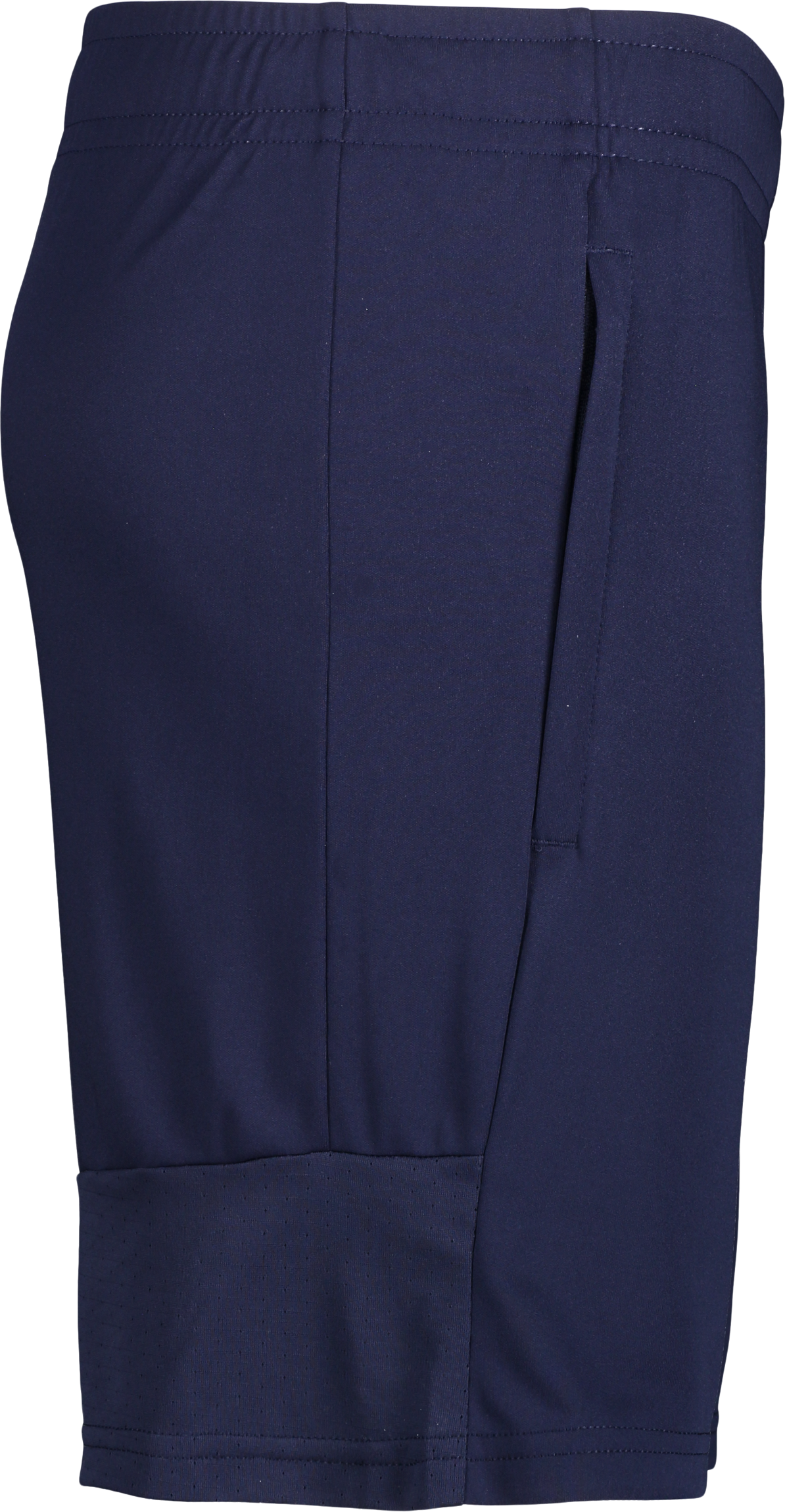 PUMA, TEAMLIGA TRAINING SHORTS