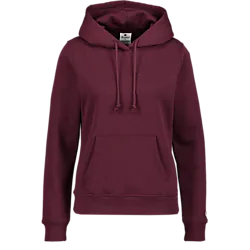 708109103101 CHAMPION  Hooded Sweatshirt 708109103101 CHAMPION Hooded Sweatshirt  Standard Small1x1