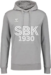 393934102101 HUMMEL Go 2.0 Hoodie 393934102101 HUMMEL Go 2.0 Hoodie Standard Small1x1