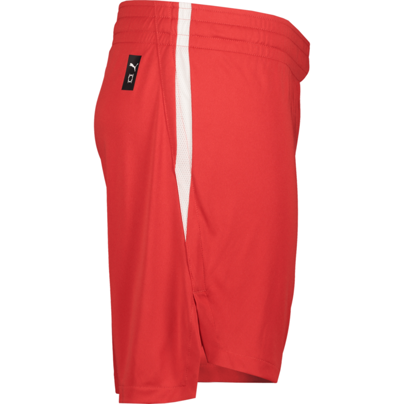 PUMA, TEAMJAWS STARTER SHORTS