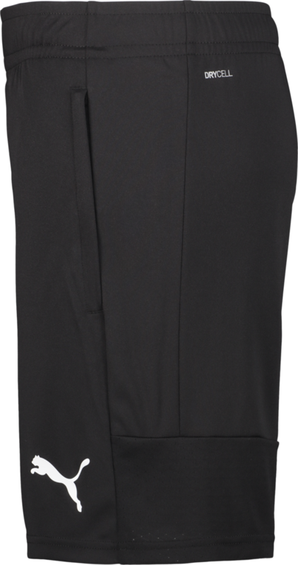 PUMA, TEAMLIGA TRAINING SHORTS