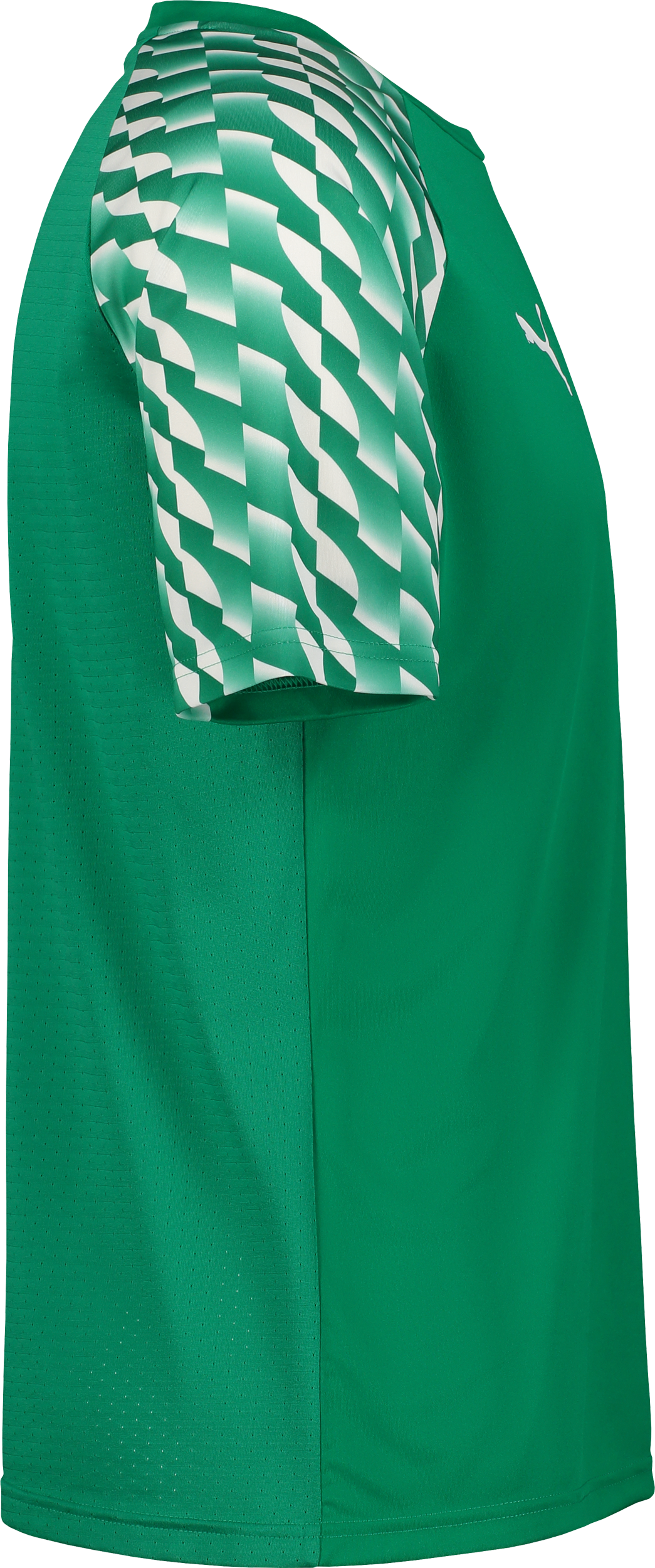 PUMA, TEAMLIGA26 JERSEY JR