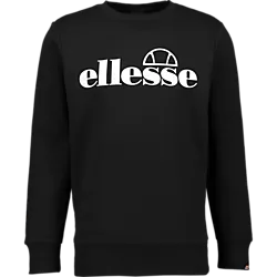 708821101101 ELLESSE  BOOTIA M SWEATSHIRT 708821101101 ELLESSE BOOTIA M SWEATSHIRT  Standard Small1x1
