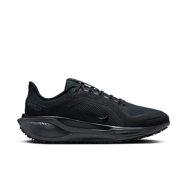 NIKE W Pegasus 41 Гортекс
