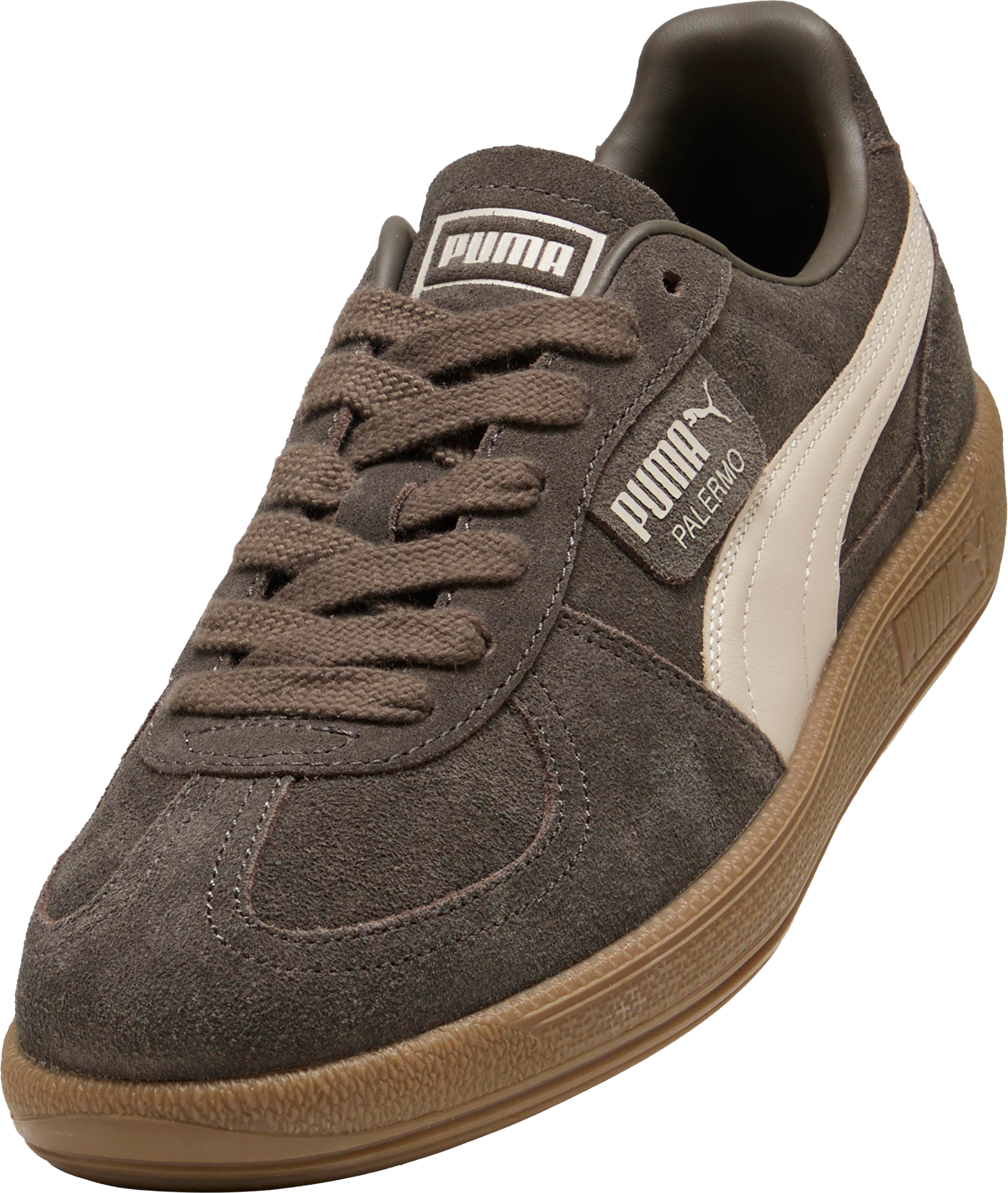 PUMA, U PALERMO