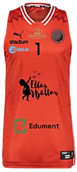 387206104101 PUMA Hoops Team Game Jersey 387206104101 PUMA Hoops Team Game Jersey Standard Small1x1