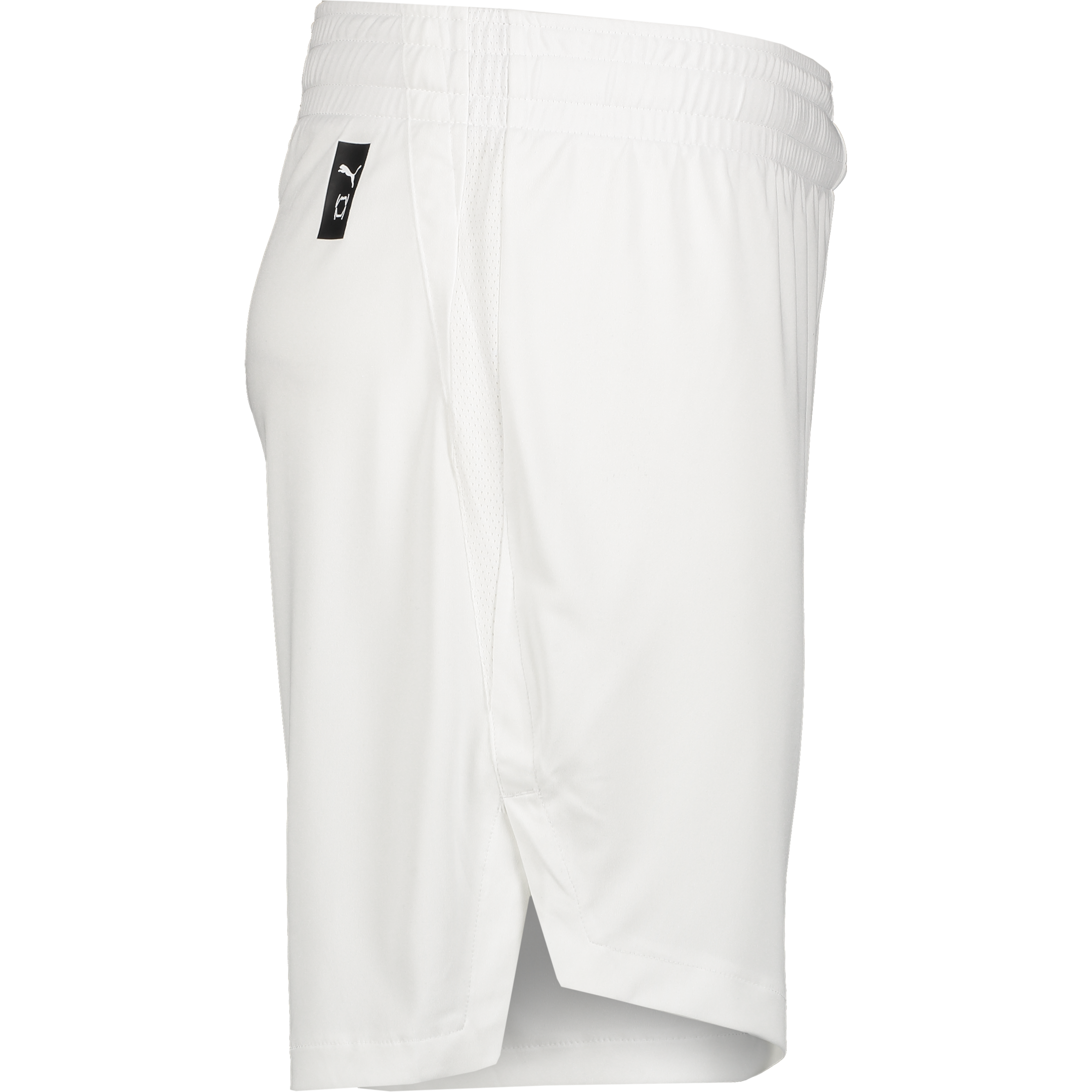 PUMA, TEAMJAWS STARTER SHORTS