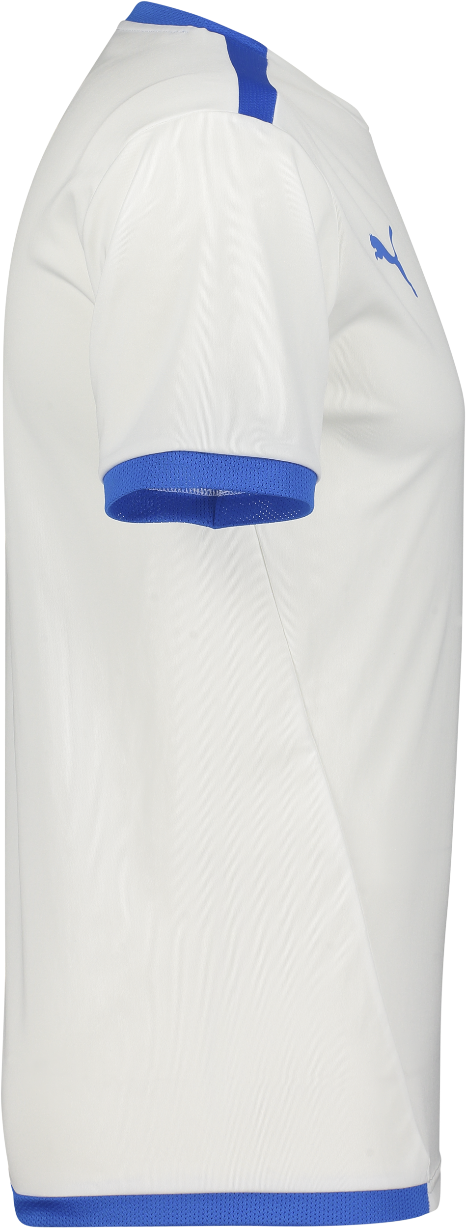 PUMA, T Liga Ss Jsy Jr