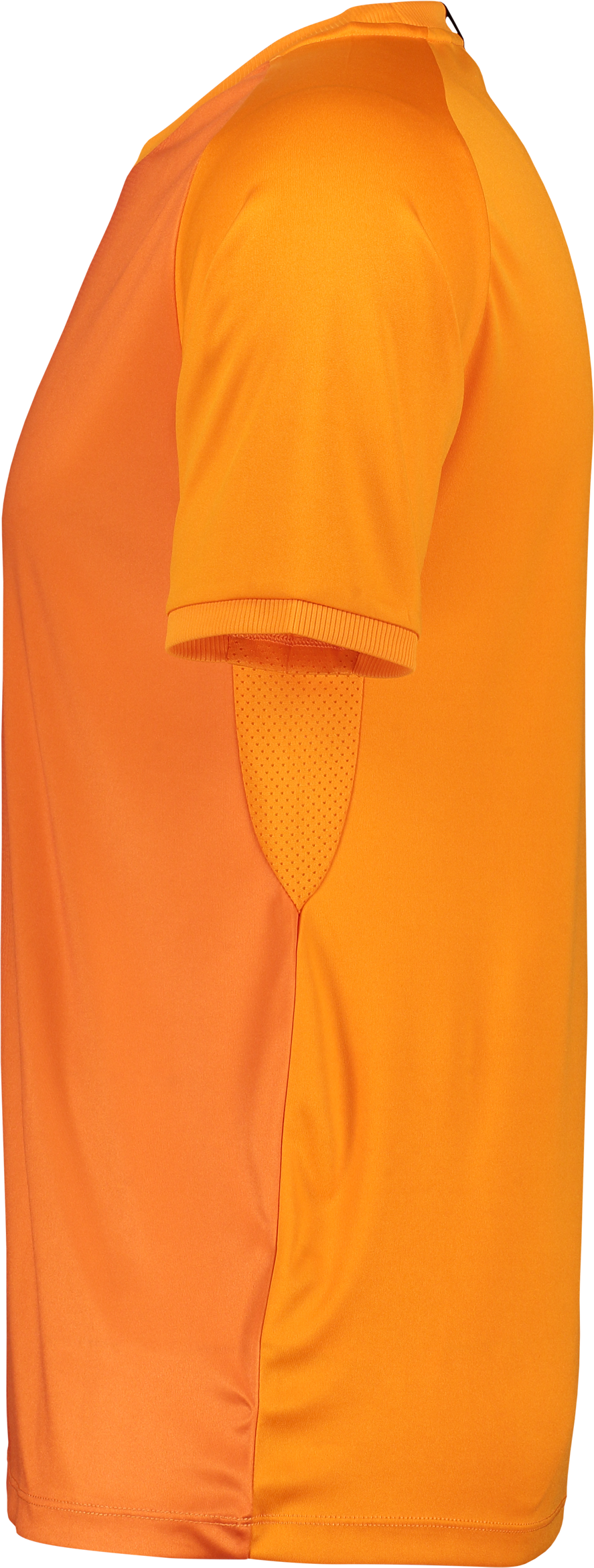 CRAFT, Progress 2.0 Graphic Jersey Jr