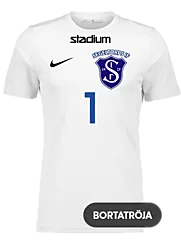 299007102101 NIKE Park VII SS Jsy 299007102101 NIKE Park VII SS Jsy Standard Small1x1