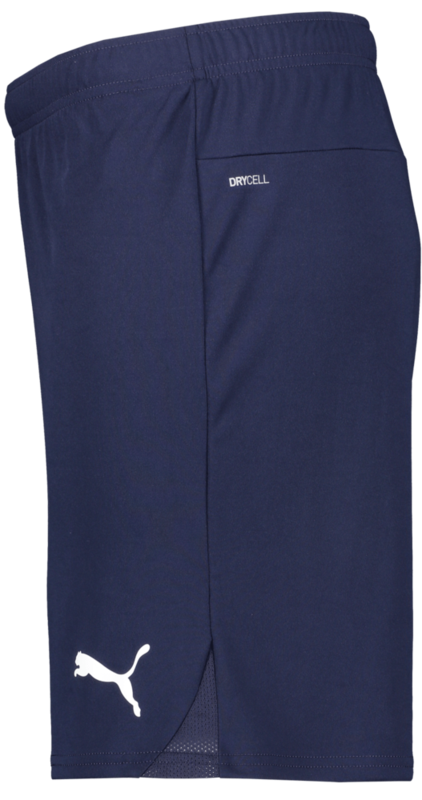 PUMA, T Goal Shorts