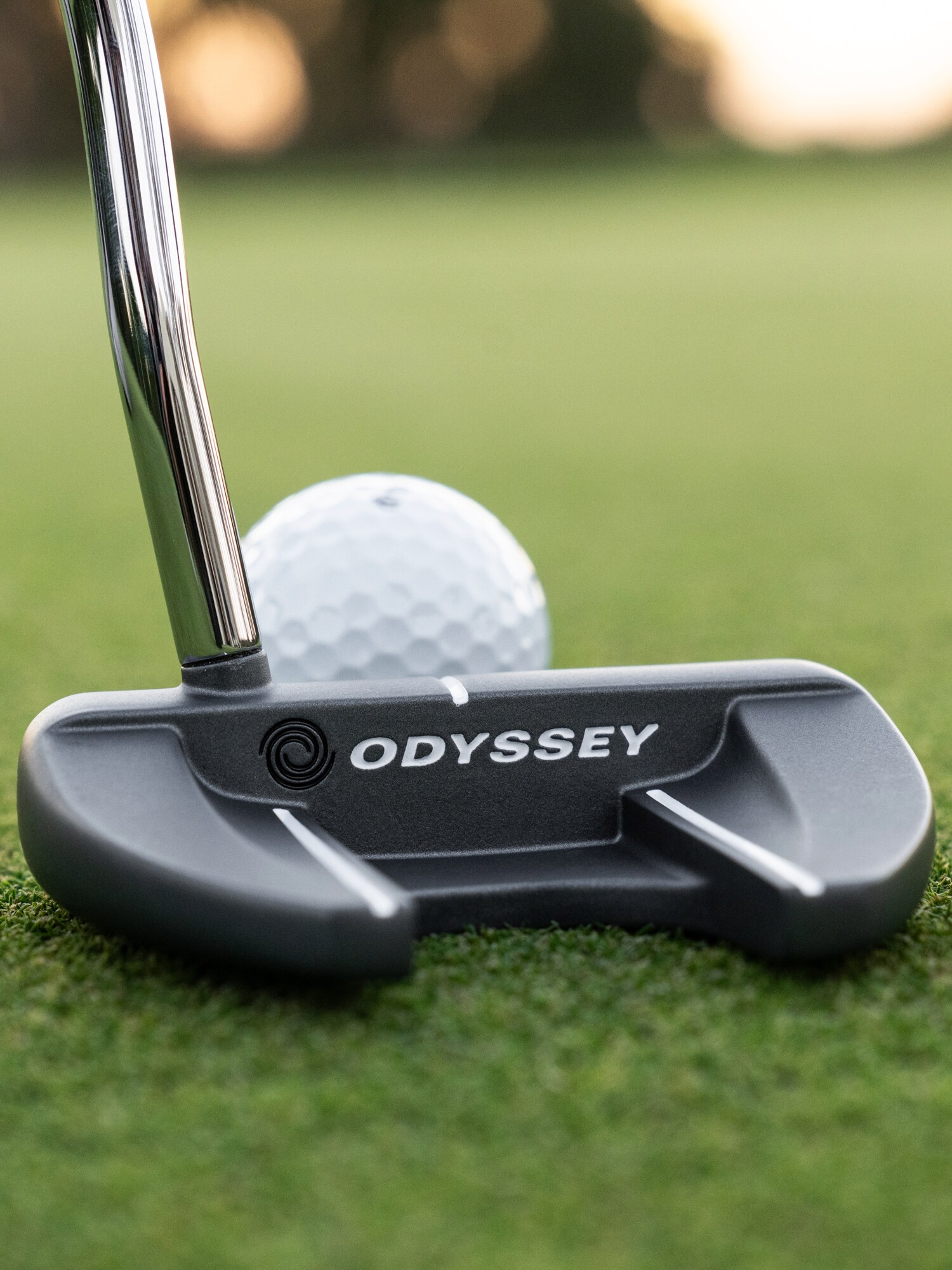 ODYSSEY, Dfx 25 Vline Fang Pstl Rh