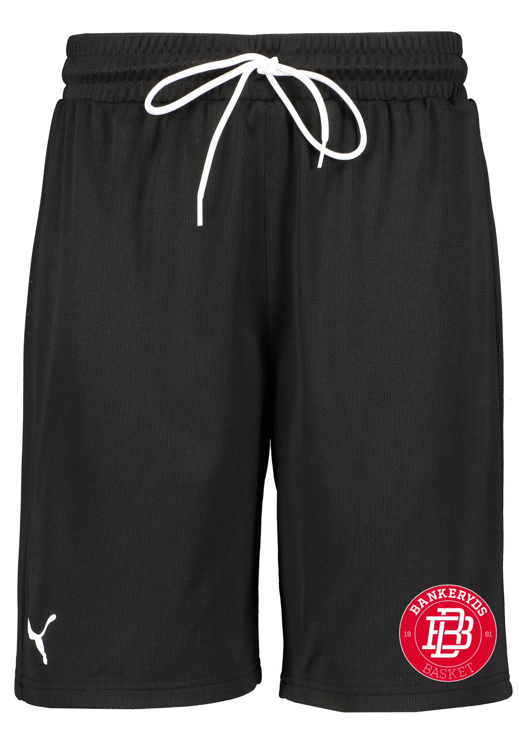 
PUMA, 
Hoops Team Practice Short, 
Detail 1
