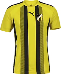 360820104101 PUMA T Liga Striped Jsy Jr 360820104101 PUMA T Liga Striped Jsy Jr Standard Small1x1