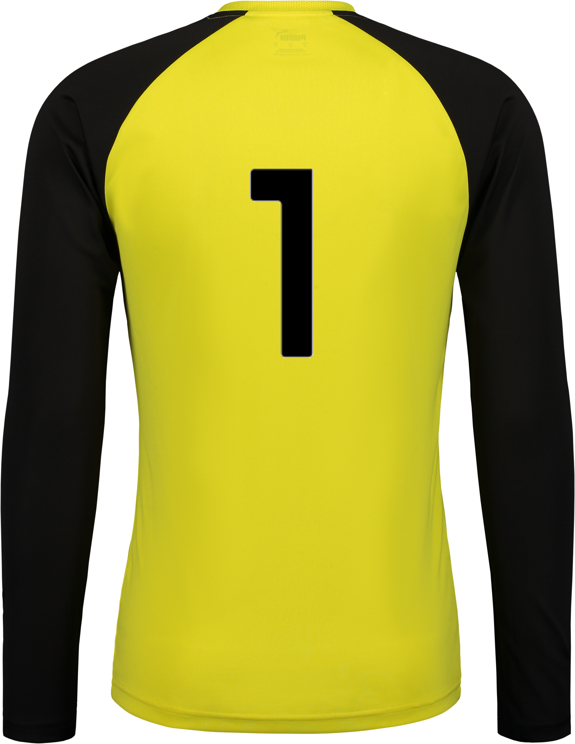 PUMA, T Pacer Gk Ls Jsy