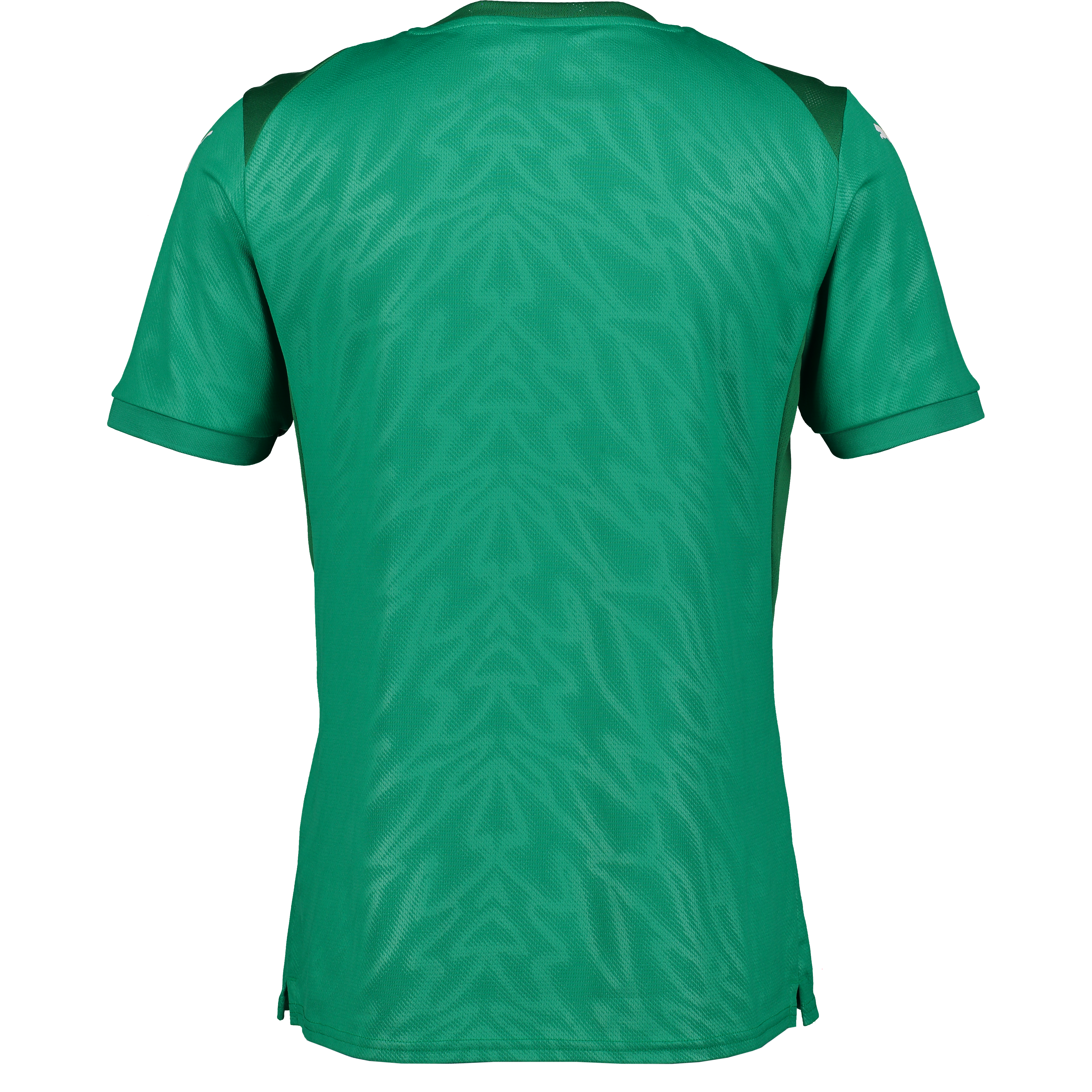 PUMA, Teamcup Jersey