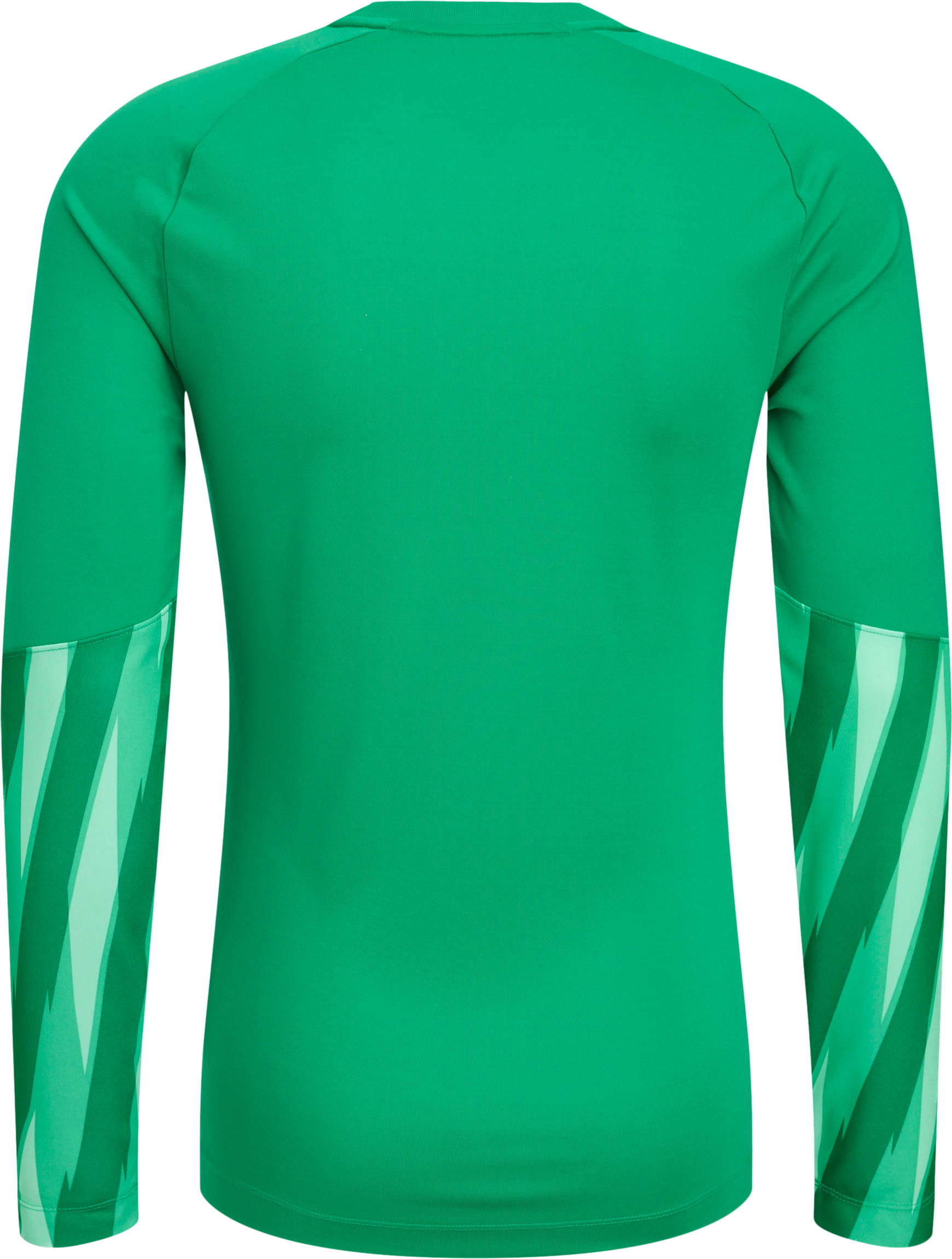 NIKE, PARK V GK LS JSY JR