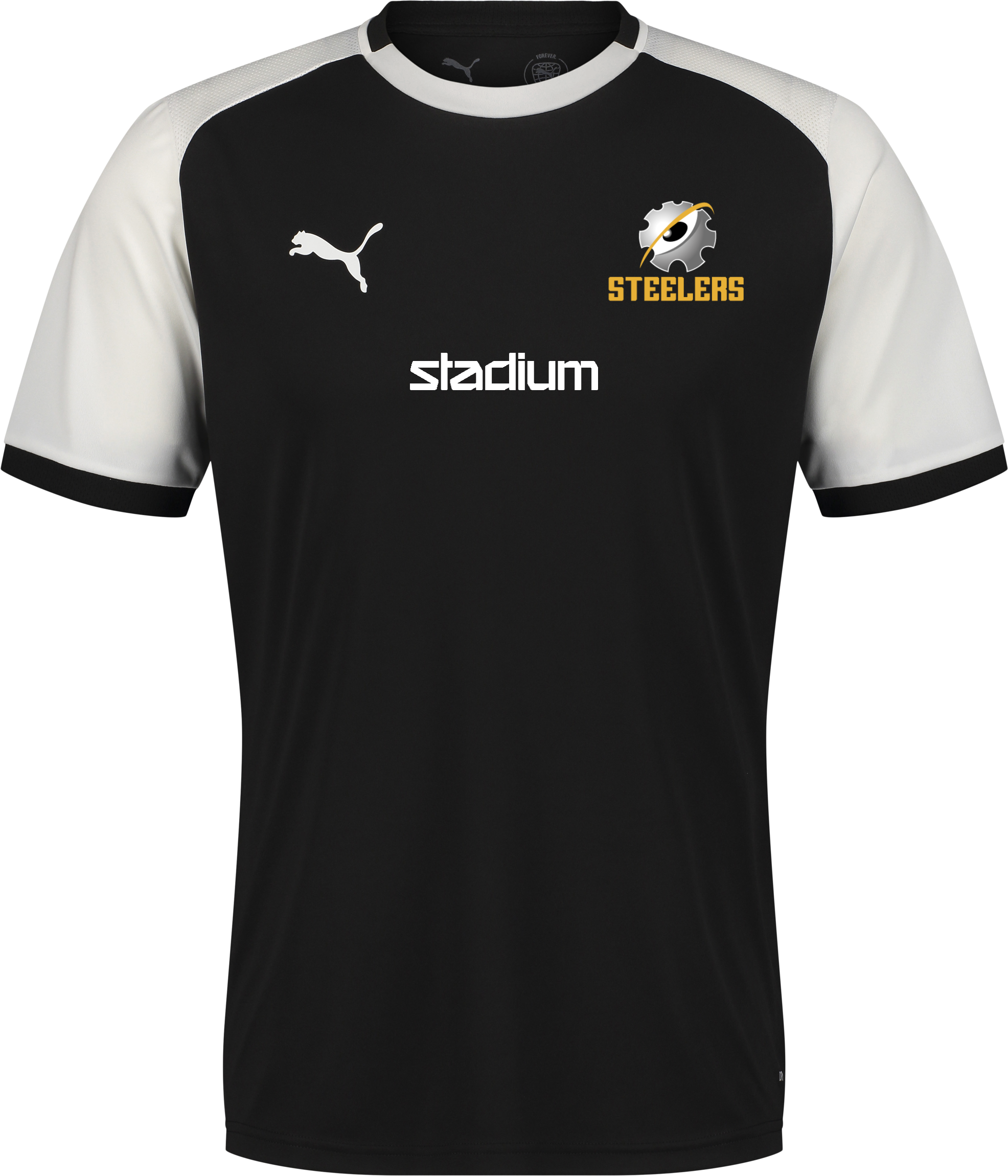 
PUMA, 
TEAMLIGA26 MATCHDAY JERSEY, 
Detail 1
