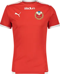 358885101101 PUMA T Liga Ss Jsy Jr 358885101101 PUMA T Liga Ss Jsy Jr Standard Small1x1