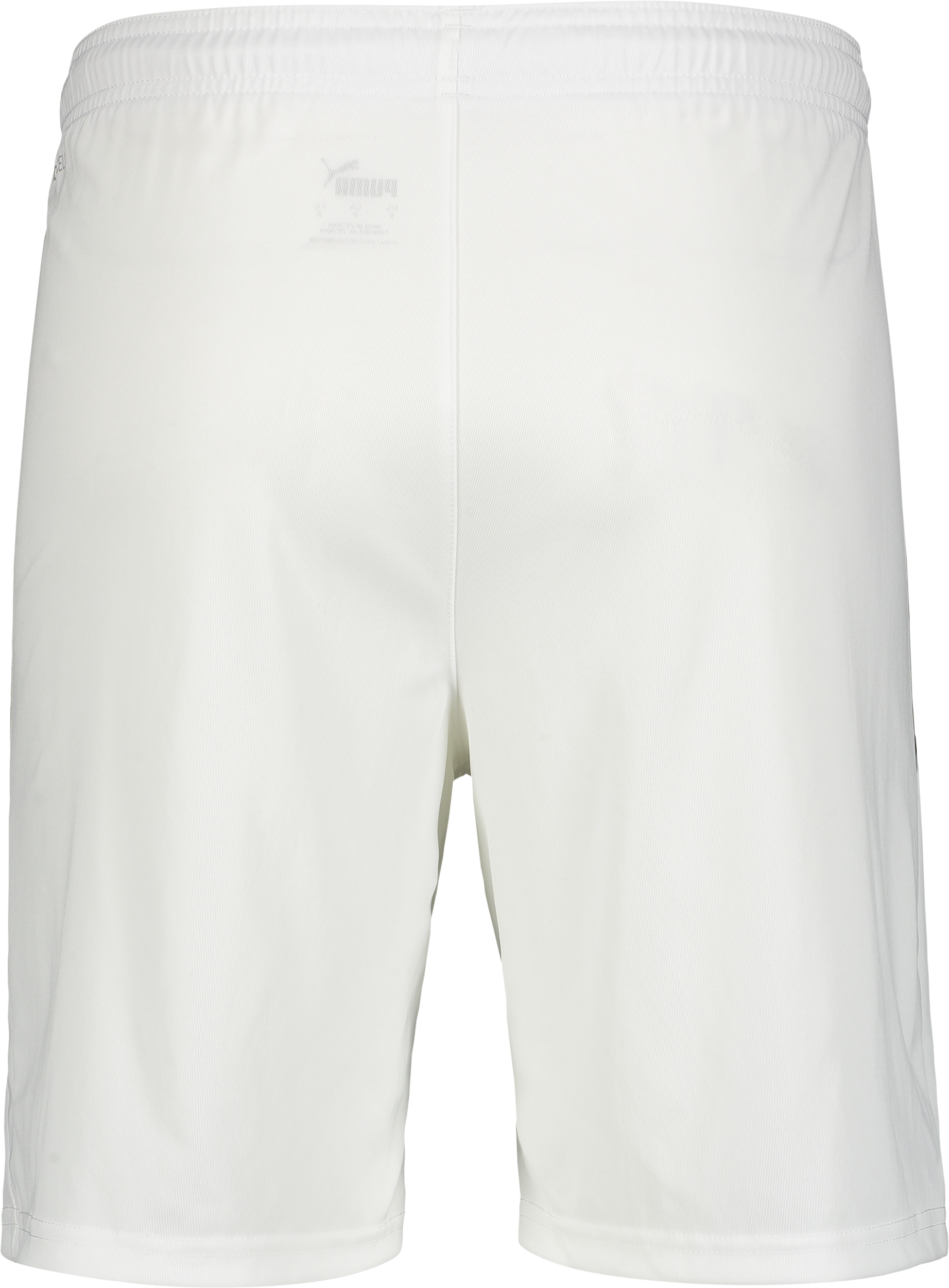 PUMA, T Liga Shorts Jr