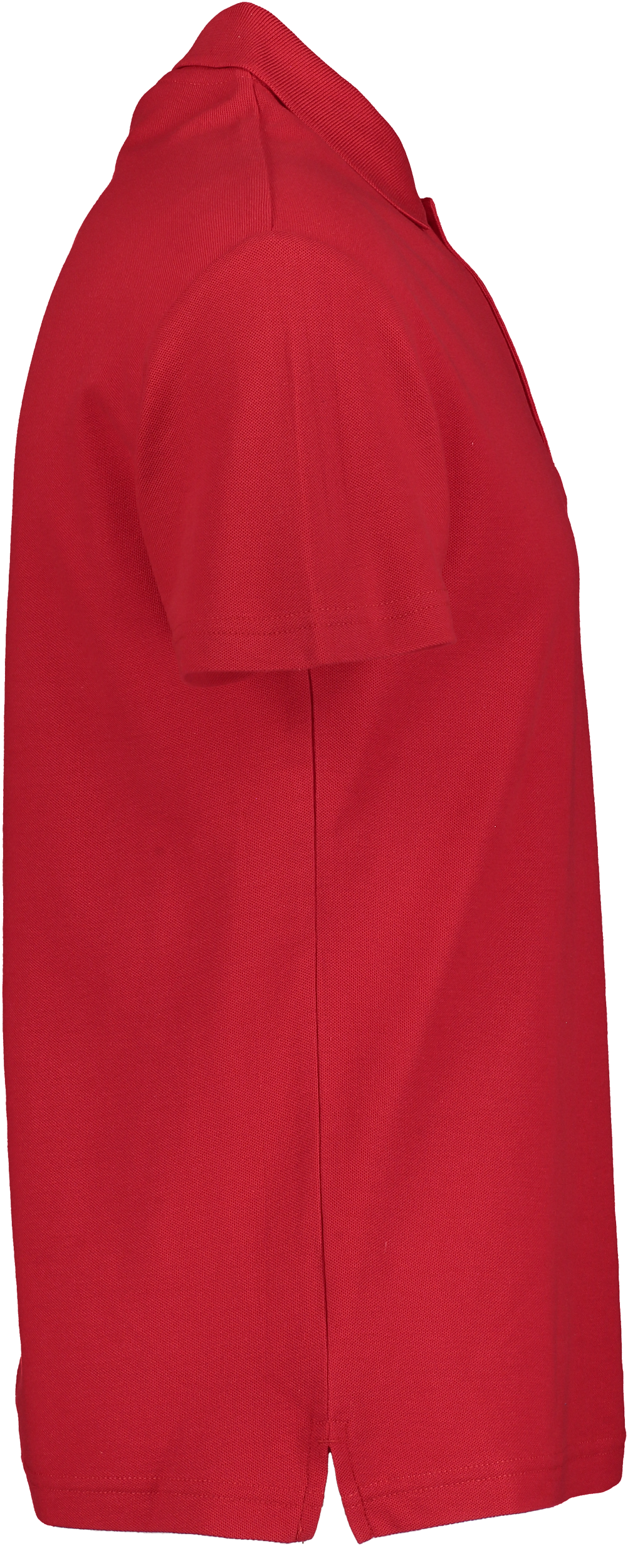 CLIQUE, Basic Polo Jr