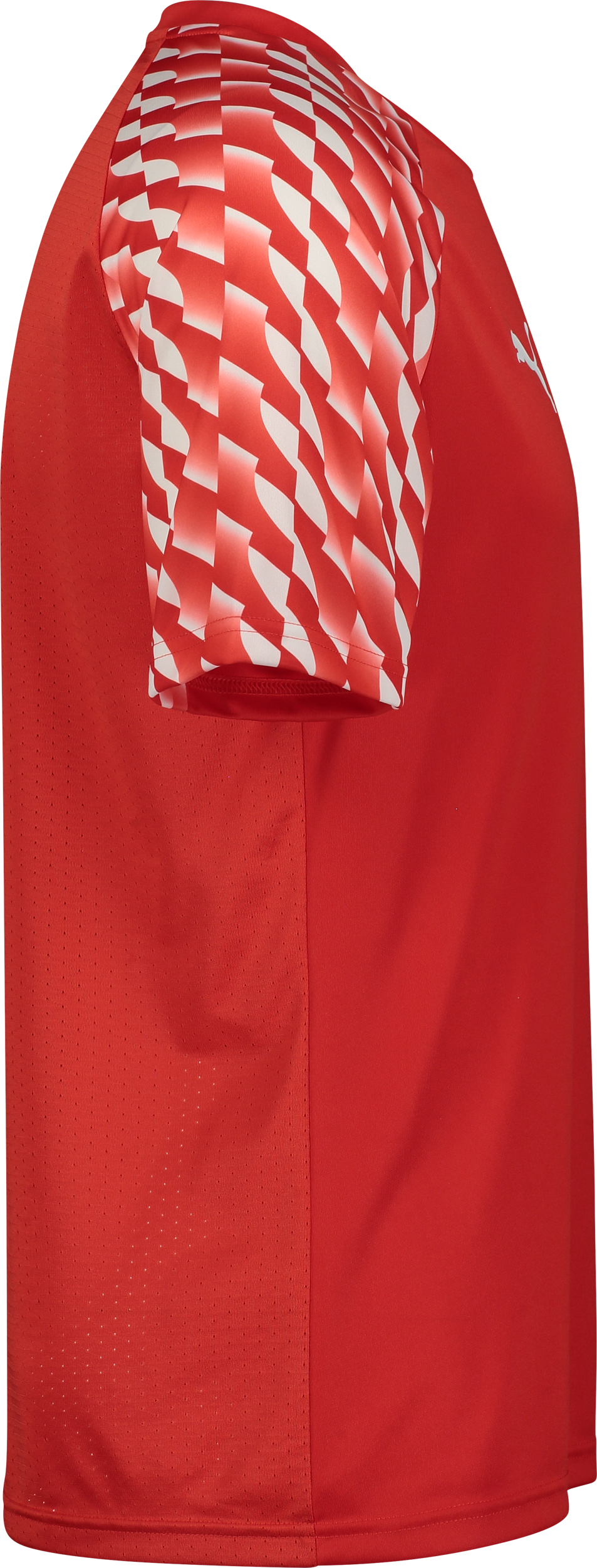 PUMA, TEAMLIGA26 JERSEY JR