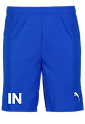 391942102101 PUMA T Goal Shorts 391942102101 PUMA T Goal Shorts Standard Small1x1